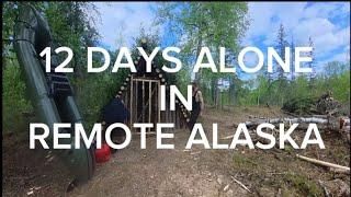 Pioneering My Alaska | A Homestead Documentary | Part 1