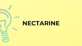 What is the meaning of the word NECTARINE?