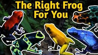 Beginner Poison Dart Frogs - Species Overview and Selection Guide