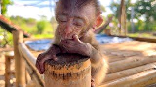 BiBi falls asleep while being massaged by his father (BiBi at 3 months old)