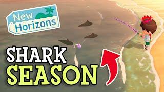 Animal Crossing New Horizons: SHARK SEASON & New Mystery Island (How To Find RARE Sharks) Details