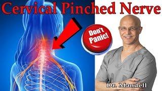 How to Overcome Cervical Pinched Nerve & Radiculopathy (Don't Panic) - Dr. Alan Mandell, DC