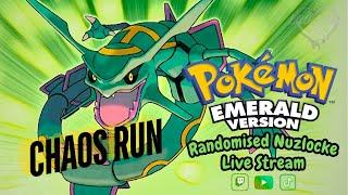 Pokemon Emerald - Randomised Nuzlocke | Jeff-Meta | Vertical Strim