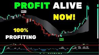 This Tradingview Indicator Kept The Profit Alive! TradingView 100% Winning Strategy