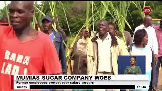 Former Mumias Sugar Company employees protest over salary arrears