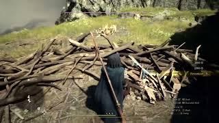 Dragon dogma 2 look a nest of real goodies and treasure ￼ come here ￼￼