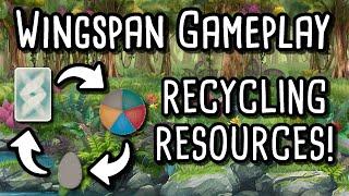 Wingspan Gameplay | Recycling Resources! feat. @ultimognu_catan