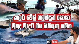 A Dangerous Journey to watch Killer Whales |  කිලර් වේල් තල්මසුන් සොයා මුහුද මැදට ගිය බිහිසුණු ගමන