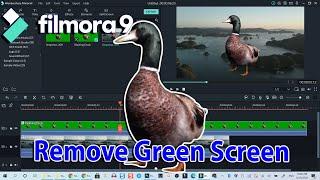 How To Use Chroma key In Filmora 9 Video Editor
