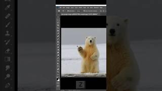 Zoom Like a Pro! Photoshop ‘Z’ Shortcut | Day 24 of 100