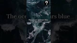 Why in the OCEAN blue?  Do you have any idea?  #shorts #why #viral #trending #education