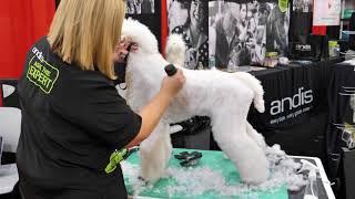 Standard Poodle Trim with Tammy Siert