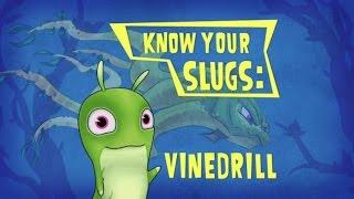 Slugisode: "Know Your Slugs: Vinedrill"