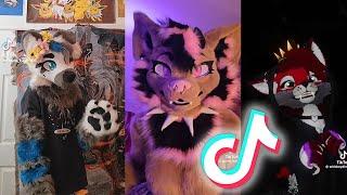 Furry TikTok's That Will Surely Make You Wag Your Tail