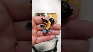 The Crazy World of LEGO Minifigures!  New Surprises and Fun!!