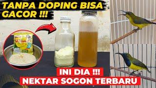 RACIKAN NEKTAR INI BIKIN SOGON STOP DOPING JADI GACOR LAGINEKTAR TERBARU