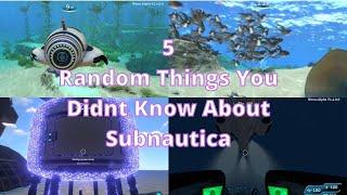 5 Random Things You Didn't Know About Subnautica