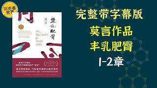 《莫言作品：丰乳肥臀》浸满血泪的女性长诗。