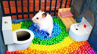 Hamster Escapes the Awesome Maze for Pets in real life  The Best Hamster Challenges