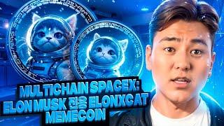 MultiChain SpaceX: Elon Musk 전용 ELONXCAT memecoin