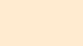 #ffebcd RGB(255, 235, 205) BlanchedAlmond #16