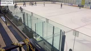 Shako PWB2 Red v CCHA Purple 12/22/2024