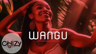 Zouk Instrumental Beat 2025 x Kizomba Type Beat (WANGU) zouk x kizomba instrumental 2025.