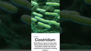 What are the 5 gram-positive bacteria? #shorts #hereditybioacademy