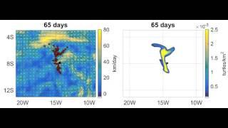 Computer simulations of green turtle navigation to Ascension Island: "weakly swimming navigators"