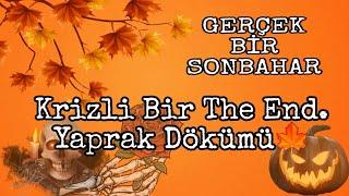 SERT,KRİZLİ BİR SONBAHARA ADIM ATIYORUZ #öngörü #güneştutulması #aytutulması #astroloji #gündem