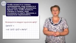 Алгебра 7 класс. Умножение одночленов  Возведение в степень