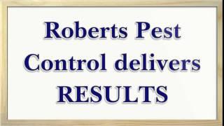 Pest Control Austin Texas Termites