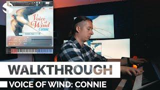 Walkthrough: Voice of Wind: Connie