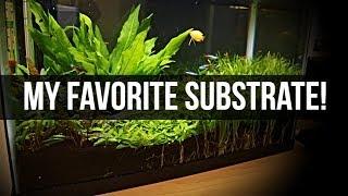 Planted Tank Substrate | My Favorite