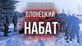 Как Финляндия начинала войну с Россией. История "Олонецкого похода" 1919 года