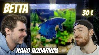 Notre premier Aquascaping pour combattant (Betta Splendens)