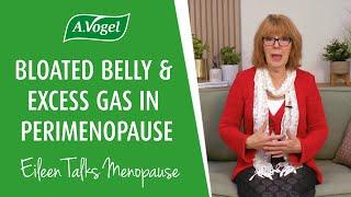 Bloated belly & excess gas in perimenopause: the causes & what can help