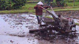 Santai tapi CEPAT..!! Traktor Sawah QUICK G1000 Garu Lahan di Pagi Hari