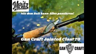 Gan Craft Jointed Claw 70