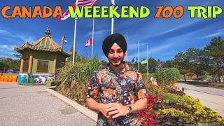 PUNJABI TRAVEL VLOG IN TORONTO ZOO | CANADA | VLOG 21