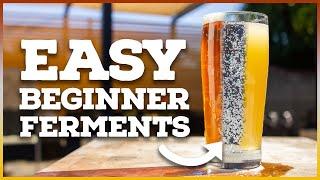 The 3 EASIEST Home Brew Recipes for Beginners