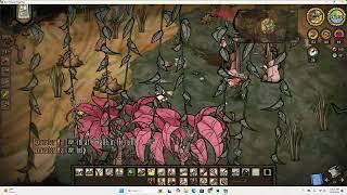 Don't Starve Together Hamlet! Temperate Again?: Week 2 And Humid Again?: Week 1.