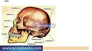 BIOLOGY FORM 3, TOPIC OF MOVEMENT