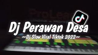 Fyp Tiktok DJ PERAWAN DESA X DASAR LO ANJAY ~DJ REMIX SLOW VIRL