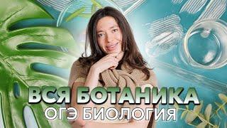 Вся ботаника для ОГЭ 2023 по биологии | Lomonosov School