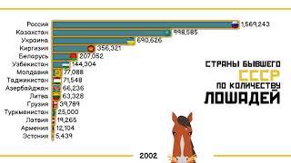 Станы бывшего СССР по количеству лошадей.Сравнение стран.Рейтинг стран СНГ.Инфографика.Статистика