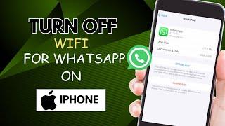 How to Turn Off Wifi For Whatsapp on Iphone  2024