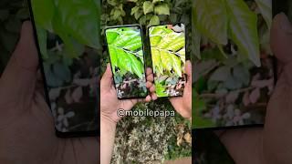 Realme C67 Vs Realme 11 pro Camera Test  #shorts #realmec67 #realme11pro #comparison #trending