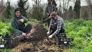 A Spring day at OrtoForesta - behind the scenes