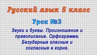 Русский язык 5 класс (Урок№3 - Звуки и буквы. Произношение и правописание. Орфограмма.)